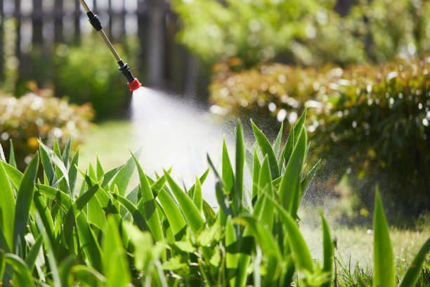 24/7 Emergency Fumigation Services experts in Lynden, WA